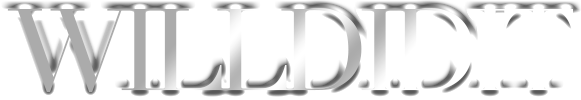 WillDidIt